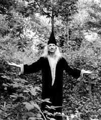daevid_tree.jpg